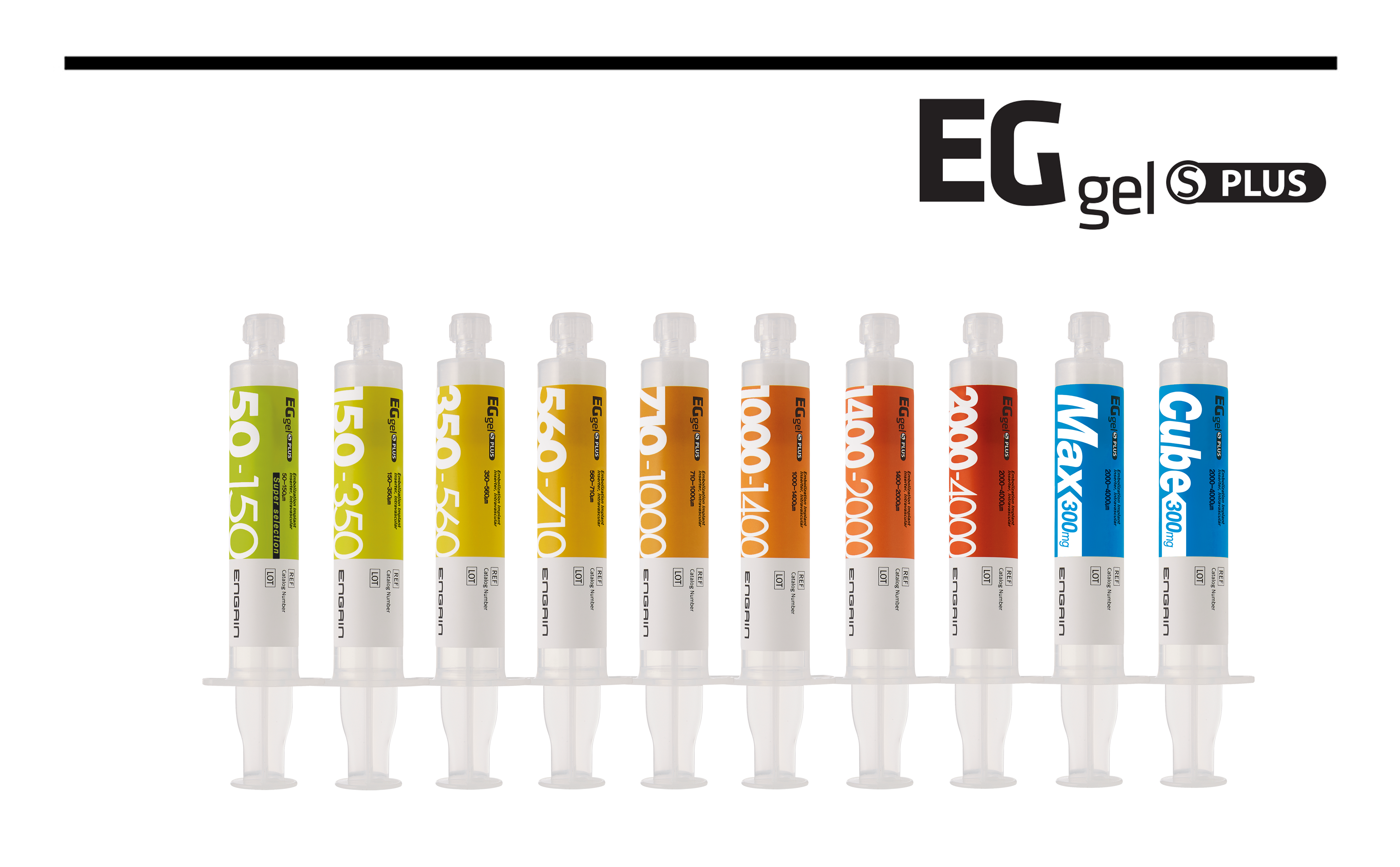 젤라틴 마이크로입자