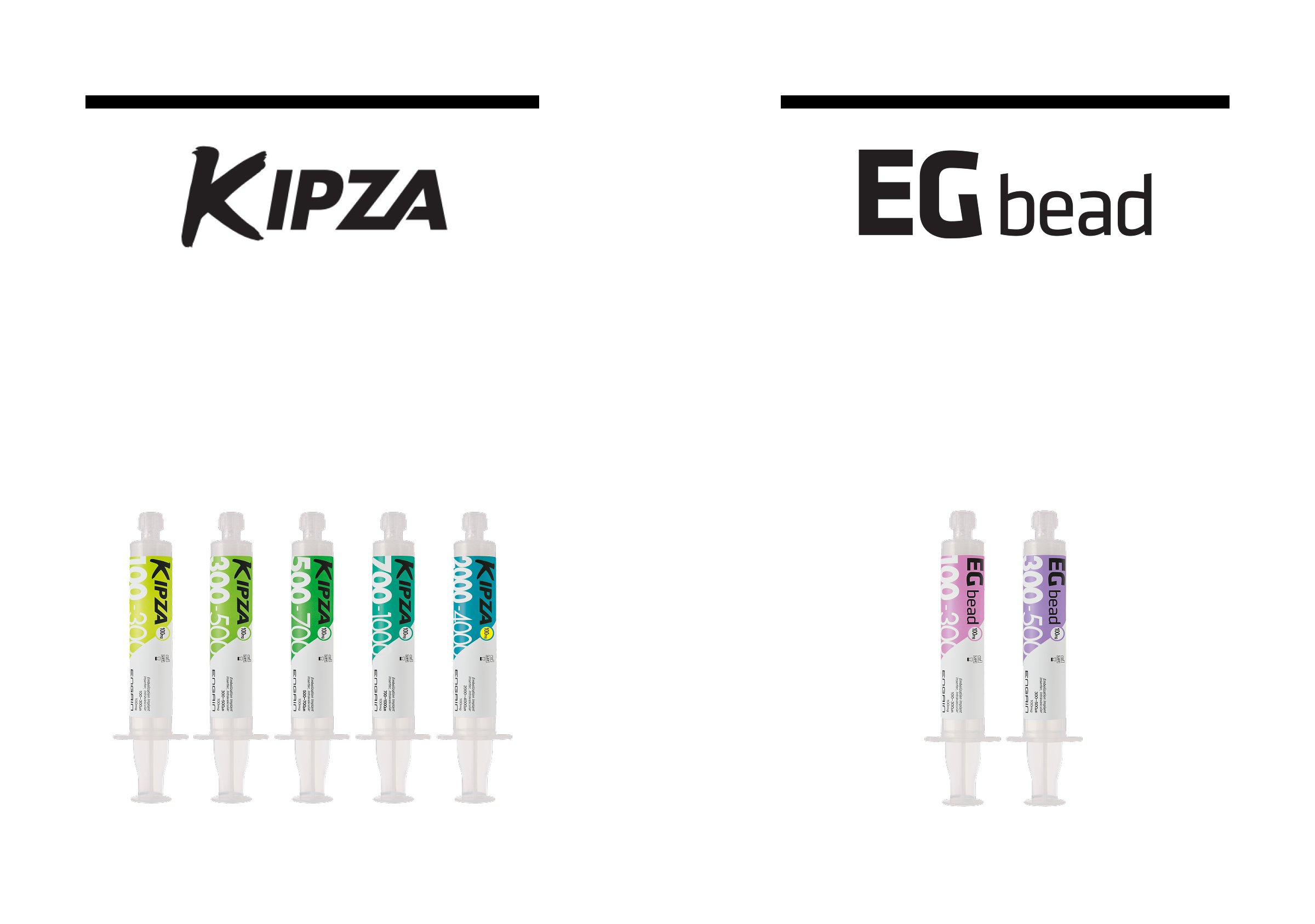 혈관내 색전술용 보철제